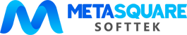 Metasquare Softtek LLC